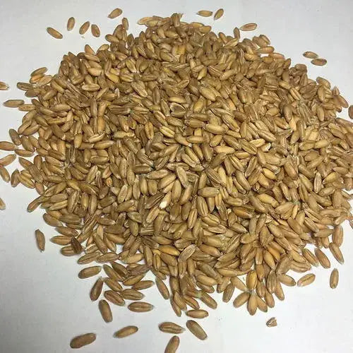 Alpaka Wärmekissen mit Dinkelkörnern, aus Bio-Materialien von PAT & PATTY